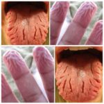 Vous vous y prenez mal. Voici la bonne façon d’utiliser les coquilles d’œufs comme engrais.