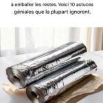 Quand vous entendez plusieurs chiens aboyer en même temps la nuit, voici ce que cela signifie