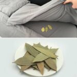 Astuce pour Obtenir des Frites bien Croustillantes