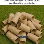 Avant d’aller dormir, il y a un appareil de cuisine qu’il faut absolument débrancher pour éviter un incendie !
