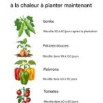 Les dentistes ne vous le diront pas. Des méthodes naturelles pour éliminer le tartre et blanchir vos dents à la maison