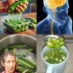13 choses pratiques à savoir