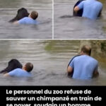 Un homme infidèle ne quitte jamais sa femme car la raison est plus profonde que vous ne l’imaginez
