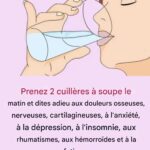 Libérez La Générosité Du Printemps : Un Guide Pour Cultiver Le Plein Potentiel De Votre Jardin