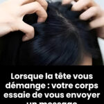 Test : Combien reste t’il d’oeufs ?