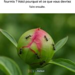 6 choses avec lesquelles cuisiner vos aliments et 6 choses avec lesquelles ne jamais cuisiner vos aliments