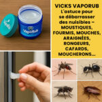 Comment blanchir les dents avec du sel et de l’ail ?