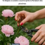 Je n’avais aucune idée que c’était une chose