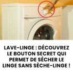 Voici ce que vous devez savoir sur les calculs amygdaliens