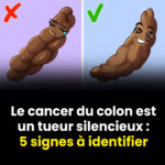 L’astuce des indiennes pour une pousse rapide des cheveux et lutter contre la calvitie.