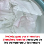 Au petit déjeuner, je ne consomme que ces trois fruits phares contre le vieillissement