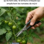 Arrêtez d’acheter un rosier en magasin. Faites-en pousser un chez vous dans un verre d’eau grâce à ces étapes