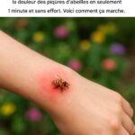 Saviez-vous que si ces insectes apparaissent chez vous, c’est un SIGNE que…