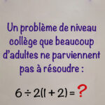 Voici ce que signifie les lignes sur les serviettes de bain