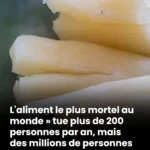 Essai : Le Sérum DIY pour une Peau de Verre – Une Approche Naturelle de la Beauté Radieuse