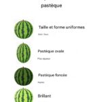 Cet ingrédient secret fait pousser les plantes… et il ne coûte rien !