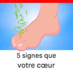 Salade de macaronis – Ne PERDEZ PAS cette recette