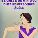 Quelques recommandations pour les utilisateurs de friteuse à air