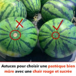 Les bienfaits de la tomate pour la peau : un secret anti-âge bien gardé