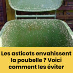 « Paëlla aux Fruits de Mer : Quand le Soleil de la Méditerranée s’invite à Table »