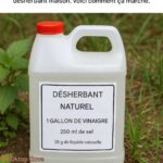 Arrêtez de Jeter les Bouteilles de Lait Vides : Voici 10 Astuces Géniales pour les Utiliser à la Maison