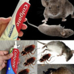 Douleurs aux hanches : quelles significations ?