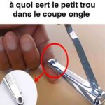 Les clous de girofle pour soulager les maux de gorge : un moyen naturel d’apaiser l’inflammation et de favoriser la guérison