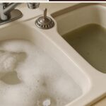 10 Astuces infaillibles pour empêcher votre chat de faire pipi dans la maison