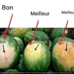 Je n’en avais aucune idée ! Bon à savoir !