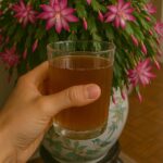 Comment planter de la menthe dans une tasse pour décorer et parfumer toute la maison