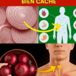 Arrêtez de faire ces 8 choses : elles abiment vos reins
