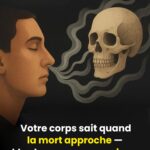 Si vous souffrez de l’un de ces 16 problèmes de santé, l’Aloe Vera pourrait être la solution naturelle qu’il vous faut