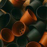 Ma Nana Jure par Cette Recette de Désherbant DIY : Voici Comment Ça Fonctionne