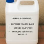 Cet ingrédient secret fait pousser les plantes… et il ne coûte rien !