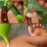 Ajoutez ces huiles essentielles au nettoyant pour sol pour éloigner les fourmis et autres insectes