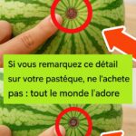 Toxique s’il est mal préparé : l’autre face d’un aliment mondialement consommé