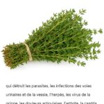 Cette petite bosse sur le côté des bouteilles de lait : un détail que vous voyez tous les jours sans en connaître l’utilité
