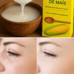 Comment planter des myrtilles chez soi pour en avoir une réserve infinie