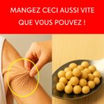 Cette petite bosse sur le côté des bouteilles de lait : un détail que vous voyez tous les jours sans en connaître l’utilité