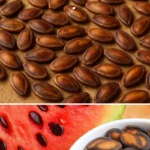 Dessert passion-chocolat : un délice tropical prêt en 5 minutes
