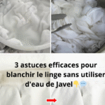 Pouvez-vous trouver les 6 différences ?
