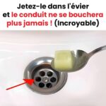 10 astuces à base d’Aloe Vera