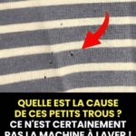 Un contrôle routier inattendu : l’histoire hilarante d’un retraité et sa camionnette