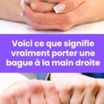 Découvrez le secret de cet étrange visiteur dans votre maison