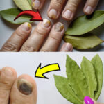 4 astuces infaillibles pour garder vos citrons comme au premier jour