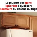 Deux Cuillères le Matin : Un Remède Naturel contre les Douleurs Osseuses, le Diabète, les Problèmes Nerveux et la Dépression 🥄✨