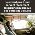 Les raisons cachées derrière le choix de la température de lavage idéale