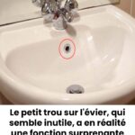 L’Énigme d’un Accessoire Révolutionnaire à Travers les Âges