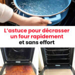 L’astuce insoupçonnée : une cuillère glacée pour des bienfaits surprenants