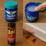 Si vous ouvrez une pastèque et voyez ceci, jetez-la immédiatement !